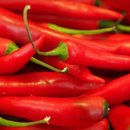 양달농장 이미지