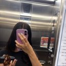 성우빌딩 | [평택] 여름맞이 긴머리 전체 염색 후기 '찰스리헤어테크 지제동삭점'