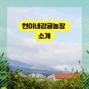 현이네감귤농장