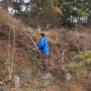 안면도덤앤더머 이미지