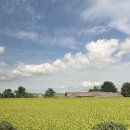 레스트인당진 이미지