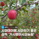 가시랭이사과농원 이미지