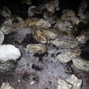 천마농장 이미지