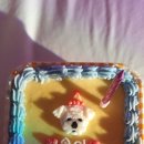 퍼피야미 이미지