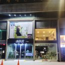 에스티 비숑프리제 이미지