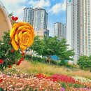 이뻐지는산책 이미지