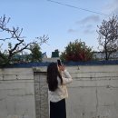 진양농협 하나로마트 이미지