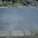 문주란 자생지 이미지