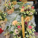 고양시일산동구보건소 이미지