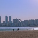 더뉴마켓