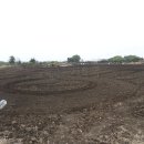 구좌읍사무소 이미지