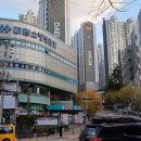 우한수 애견미용실 이미지