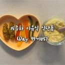 초당99 | 후기이유식(9개월) 15주차 식단표(Day 99~105)