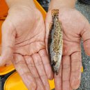 여주-0928 이미지