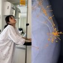 헤이지니 이미지