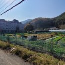 내서읍530 이미지