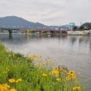 장흥 예양강 풍경 이미지