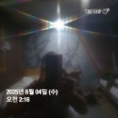 [단편 여행 에세이] 지금, 의령에 있습니다 - 3편 | An Old Song Beneath the Cherry Tree – Travel...