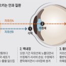 어린이들도 선글라스를 쓰세요 이미지