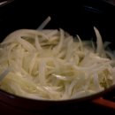 양파(onion)