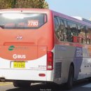 수원-1195 이미지