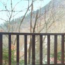 좌구산자연휴양림 이미지