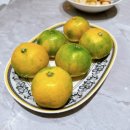 송주농장 이미지