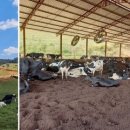 김종화농장 이미지