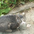 경백장가든 이미지