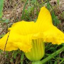 두릉농장 이미지