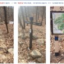 절터골2 이미지