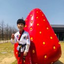 JK태권도장 이미지