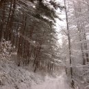 제16차 신년 눈산행 강원 오대산 1,563.4m 산행안내 및 예약! 이미지