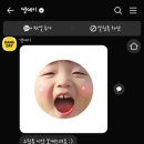 댕데이 네이버블로그