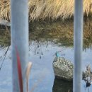 흑산 예리항 관광안내소 | [2025 교토] 내돈내산 혼자 여행 교토 단풍 명소 추천 - ④ 오하라 (교통편 버스 가는법/ 호센인...