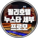 레베카여행사