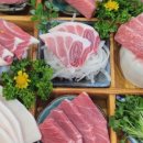 참치만나라 이미지