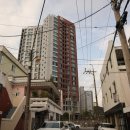 화가플라워갤러리 | [화가플라워] 미감 좋은 꽃다발 후기 | 창원 합성동 두산위브 아파트 근처 꽃집 | 서이추환영