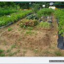 재일농장 이미지