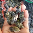 유동어촌체험마을 이미지