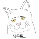 지경희동물병원 이미지