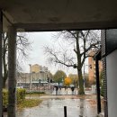 궁전목욕탕 | 10월 폴란드 바르샤바 여행 폴란드 갈만한곳 와지엔키 궁전 라지엔키 궁전 바르샤바 맛집 maka i woda