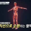 라파셀