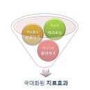 허브볼 테라피 (herb ball therapy)란? 이미지