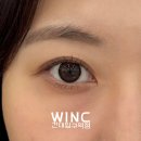 윙크 렌즈스토어 의정부역점 | 직경별 초코 렌즈 모아보기 한달용편 [하파크리스틴X윙크 건대입구역점]