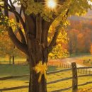 Tie a yellow Ribbon Round the Ole oak Tree (1998 Remastered) 이미지