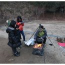밝은숲