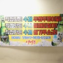 암소와꽃돼지 이미지