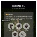소람한방병원