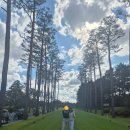 명성 생오리 가든 | 후 기력 보충! 여주 '현대가든' 3년 묵은지 돌판 생오리구이 리얼 후기! (D7 골프회원권거래소 서현팀장...